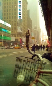 Basket